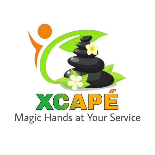 imgi_7_qt_q_95 removebg preview